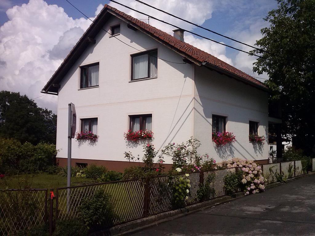 Apartman Josipa Drežnik Grad Zimmer foto